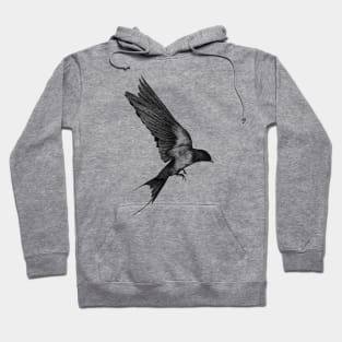 Free as a bird x Black Hoodie